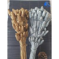 ราคา Rarin ดอกกระถินทุ่ง (สีเงิน ,สีทอง)(กำใหญ่) ตกแต่งแจกัน แต่งร้าน พร๊อพถ่ายรูป แต่งโต๊ะอาหาร งาน DIY (20272284769)