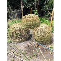 ราคา กรงไก่ชน ของดีเมืองยะลา (19004475233)