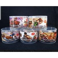 ราคา Street Fighter Mini Figure (10318508074)