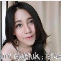 ราคา คอนเเทคเลนส์ สี Mini nobluk gray (193305717)