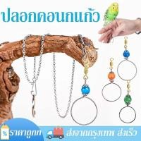 ราคา โซ่คล้องนกสแตนเลส ขายกับปลอกคอนกแก้ว สายจูงนกแก้ว สายฝึกบิน ห่วงคล้องคอนก มีขนาดให้เลือก หงส์หยก ค๊อกคาเทล ซันคอนัวร์ (28257983922)