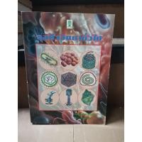 ราคา จุลชีววิทยาทั่วไป นงลักษณ์ สุวรรณพินิจ หนังสือมือสอง (18876653452)