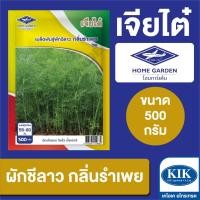 ราคา เมล็ดพันธุ์ เจียไต๋ BIG ผักชีลาว กลิ่นรำเพย CBS ขนาด 500 กรัม (24525591947)