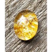 ราคา โป่งข่ามกาบแก้วทองอร่ามร่วมขนเหล็ก (27701756391)