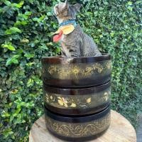 ราคา อ่างสปา 16 นิ้ว ไม้จามจุรี เพ้นท์ลาย อ่างแช่เท้า อ่างสปามือ-เท้า อ่างแช่มือไม้ ไม่รั่วไม่ซึม (29423627241)