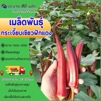 ราคา 80 เมล็ด เมล็ดพันธุ์ กระเจี๊ยบเขียวฝักแดง กระเจี๊ยบเขียว ฝักแดง นำเข้าจากต่างประเทศ (26063357578)