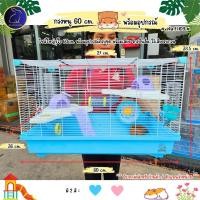 ราคา กรงหนูแฮมสเตอร์ กรง60 พร้อมอุปกรณ์ TH09 สำหรับสัตว์เลี้ยงหนูแฮมสเตอร์ กรงเม่นแคระ กรงสัตว์เล็ก (IP) (25532274004)