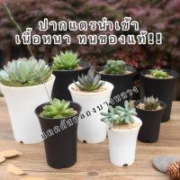 ราคา กระถางปากแตรกระถางทรงสูงกระถางนำเข้า (12106876274)