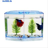 ราคา ดาร์เนลลียา ตู้ปลาปลากัด,ตารางเดียว/คู่ที่มีหญ้าน้ํากล่องแยกปลากัดตารางคู่,กล่องแยกปลากัดพลาสติกใส,กล่องแยกพันธุ์ปลาพิพิธภัณฑ์สัตว์น้ํา (26374658745)