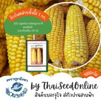 ราคา เมล็ดพันธุ์ ถุง 1 กก. ข้าวโพด ข้าวเหนียว สายน้ำผึ้ง เทียนเหลือง ตราลูกโลก Corn (1202238463)