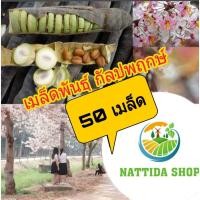 ราคา เมล็ดพันธุ์กัลปพฤกษ์ 50 เมล็ด พร้อมปลูก ต้นกัลปพฤกษ์ กัลปพฤกษ์ (6437425034)