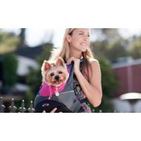 ราคา Crazypaws Pet Carrier กระเป๋าเป้/กระเป๋าเป้ ไซส์ L (8029938167)