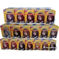 ราคา ครีมย้อมผมissteru japan ฮาลาลใส่ละหมาดได้ (23455167715)