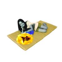 ราคา OHM ปลอกที่นอนปิคนิคแบบมีซิป ผ้าเครปซาติน 220 เส้น ขนาด 5 ฟุต (สีทองสว่าง) (6317436762)