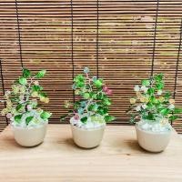 ราคา (Handmade) ต้นไม้มงคล ต้นไม้ประดิษฐ์ ของตกแต่งโต๊ะทำงาน ของตกแต่งบ้าน ของตกแต่งหิ้งพระ ตกแต่งหิ้งพระ ของชำร่วย ของขวัญ (10045666893)