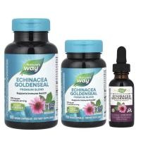 ราคา Nature's Way Echinacea Goldenseal 900 mg 100 และ 180 Vegan Capsules + แบบยาน้ำ 30 ml (26601860639)