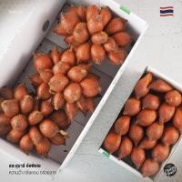 ราคา สละสุมาลีคัดพิเศษ ยอดนิยม (28212661717)