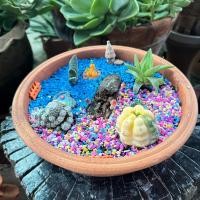 ราคา ถาดดินเผา กระถางดินเผา ปลูกต้นไม้ ขนาด 10 นิ้ว ได้ 1 ใบ พร้อมส่ง (22169091302)