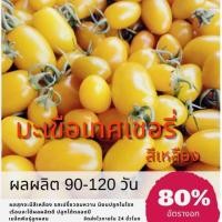 ราคา เมล็ดพันธุ์ มะเขือเทศเชอรี่เหลือง 30 เมล็ด มะเขือเทศเชอร์รี่ มะเขือเทศ (ซื้อ 10 แถม 1 คละอย่างได้) (3319830693)