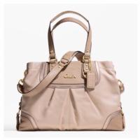 ราคา มือสอง Coach Ashley Spectator Exotic Leather Carryall (2242315784)