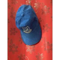 ราคา หมวกสีน้ำเงินแบรนด์AIIZ (22086225212)