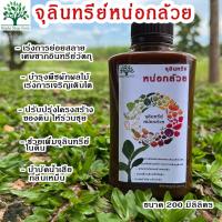 ราคา หัวเชื้อจุลินทรีย์หน่อกล้วย ขนาด 200 มิลลิลิตร คุณภาพเข้มข้น (20138761558)