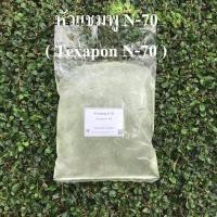 ราคา หัวแชมพู N70 ขนาด 1.0 กิโลกรัม / Texapan N70 (4951915996)