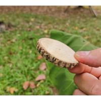 ราคา แผ่นไม้ขนาด4ซม.มีเปลือกสวยงามใช้ในการทำพร๊อบหรือทำงานฝีมือ (3637416720)