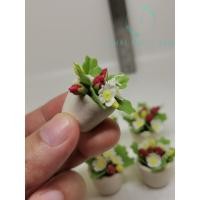 ราคา ต้นสตรอเบอรี่จิ๋วพร้อมกระถาง สตรอเบอรี่ ต้นสตรอเบอรี่ สตรอเบอรี่จิ๋ว ของจิ๋ว (29317910098)