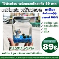 ราคา มาริโมะ Marimo เซ็ทพร้อมขวดโหลแก้วสี่เหลี่ยม #44 มีของพร้อมส่ง (3021145415)