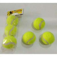 ราคา Kasti FIELD BALLS / TENNIS BALLS / FIELD TENNIS BALLS (25887479132)