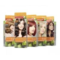 ราคา Dcash Optimus color Cream ออพติมัส คัลเลอร์ ครีมเปลี่ยนสีผม 100มล โทนเขียว เทา (4189487933)