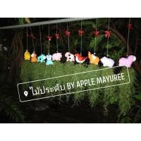 ราคา ต้นเคราฤาษี ในตุ๊กตาเซรามิค 2 ตัว(คละลาย) (5282434998)