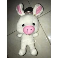 ราคา ตุ๊กตารูปกระต่าย ใส่หมวกบัณฑิต เขียนว่าcongratulation (2935955732)