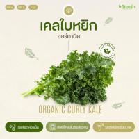 ราคา เคลใบหยิกอินทรีย์ Organic Curly Kale อินทนิลออร์แกนิคฟาร์ม ปลูกธรรมชาติมาตรฐานเกษตรอินทรีย์ เก็บใหม่ทุกออเดอร์ (22446640155)