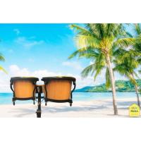 ราคา กลองบองโก้ ราคาถูก กลองบองโก้ พร้อมขาตั้ง ขนาดมาตรฐาน 7" และ 8.5" Bongo (3504849275)