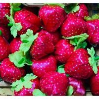 ราคา เหรียญโปรยทาน สตอเบอรี่ (22019298576)