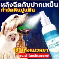 ราคา ดับกลิ่นปากหมา น้ำยาดับกลิ่นปากสุนัข สเปรย์ดับกลิ่นปากสุนัข ของใช้แมว cat oral care สเปรย์ฆ่าเชื้อแบคทีเรีย 100ml (23590512874)
