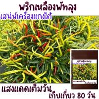 ราคา 30 เมล็ด พริกเหลืองพัทลุง กลิ่นหอม เผ็ดร้อน! เมล็ดพันธุ์พริกเหลืองพัทลุง (17863862462)