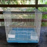 ราคา กรงนก ใช้ไป 2 วัน​ มือสอง สภาพใหม่ (18086349711)