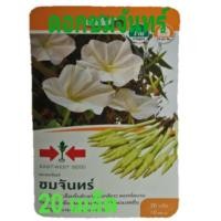 ราคา ดอกชมจันทร์ สีขาวศรแดง (1962933420)