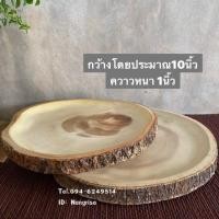 ราคา จานไม้ จานไม้มะม่วง ทำจากไม้มะม่วงติดเปลือกธรรมชาติ (6390166624)
