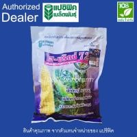 ราคา เมล็ดพันธุ์ข้าวโพดหวาน ไฮบริกซ์ 72 (1 กิโลกรัม) (21984303979)