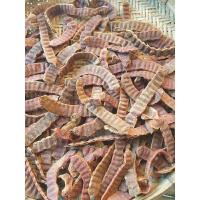 ราคา ส้มป่อย เดือน 5 เป็ง (22522047002)