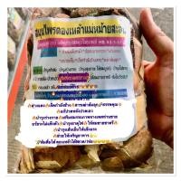ราคา สมุนไพรดองเหล้าแม่หม่ายสะอื้น(ดองเหล้าได้6ขวด) (23068368027)