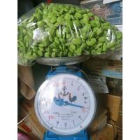 ราคา สะตอปอก ครึ่งกิโล 200บาท สะตอไม่แช่น้ำสะตอไม่ล้างน้ำ (21951419438)