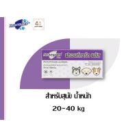 ราคา ถูก(ของแท้/พร้อมส่ง) ยาหยอดเห็บหมัด(ลอตใหม่‼️) Frontguard Plus สำหรับสุนัข 20-40 kg.ฟรอนท์การ์ดพลัสกำจัดเห็บหมัดได้ผลดี (5124354117)