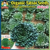 ราคา เมล็ดพันธุ์ กวางตุ้งญี่ปุ่น แทตฉ่อย 450 เมล็ด Tatsoi Seed เมล็ดพันธุ์ผัก ผักสวนครัว เมล็ดพันธุ์พืช ปลูกผัก สวนครัว โตไว (27232551733)