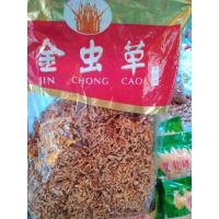 ราคา ถั่งเช่าอบแห้งถั่งเช่าสีทอง เกรด A รสชาติอร่อยแบบธรรมชาติจากเยาวราช(น้ำหนัก 500 กรัม 1000 กรัม) (5882933754)