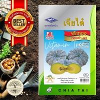 ราคา เมล็ดพันธุ์ ฟักทอง ทองคำ443 10เมล็ด (6754770422)